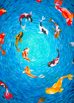 Koi fish swimming in a circular pattern against a blue water background